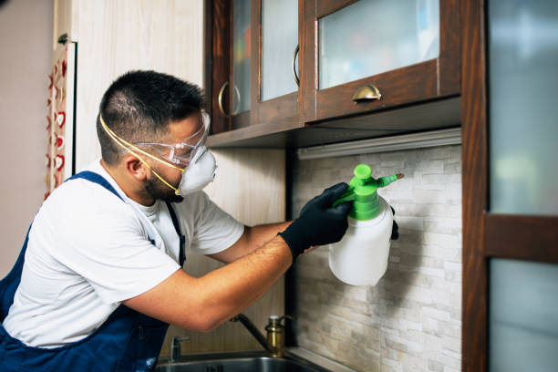 Best Best Pest Control Companies  in Burkburnett, TX